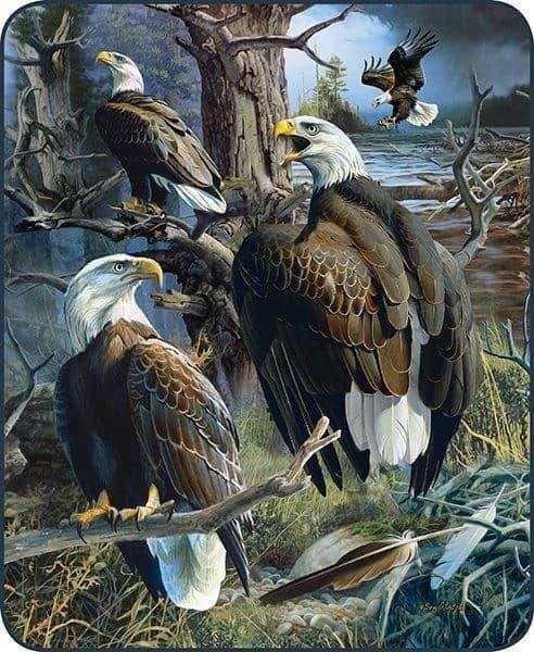 Regal Comfort - Eagle Collage - Plush Decorative Queen Size Blanket