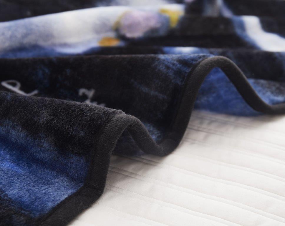 Regal Comfort - Einstein (It's All Relative) - Plush Decorative Queen Size Blanket (Copy)